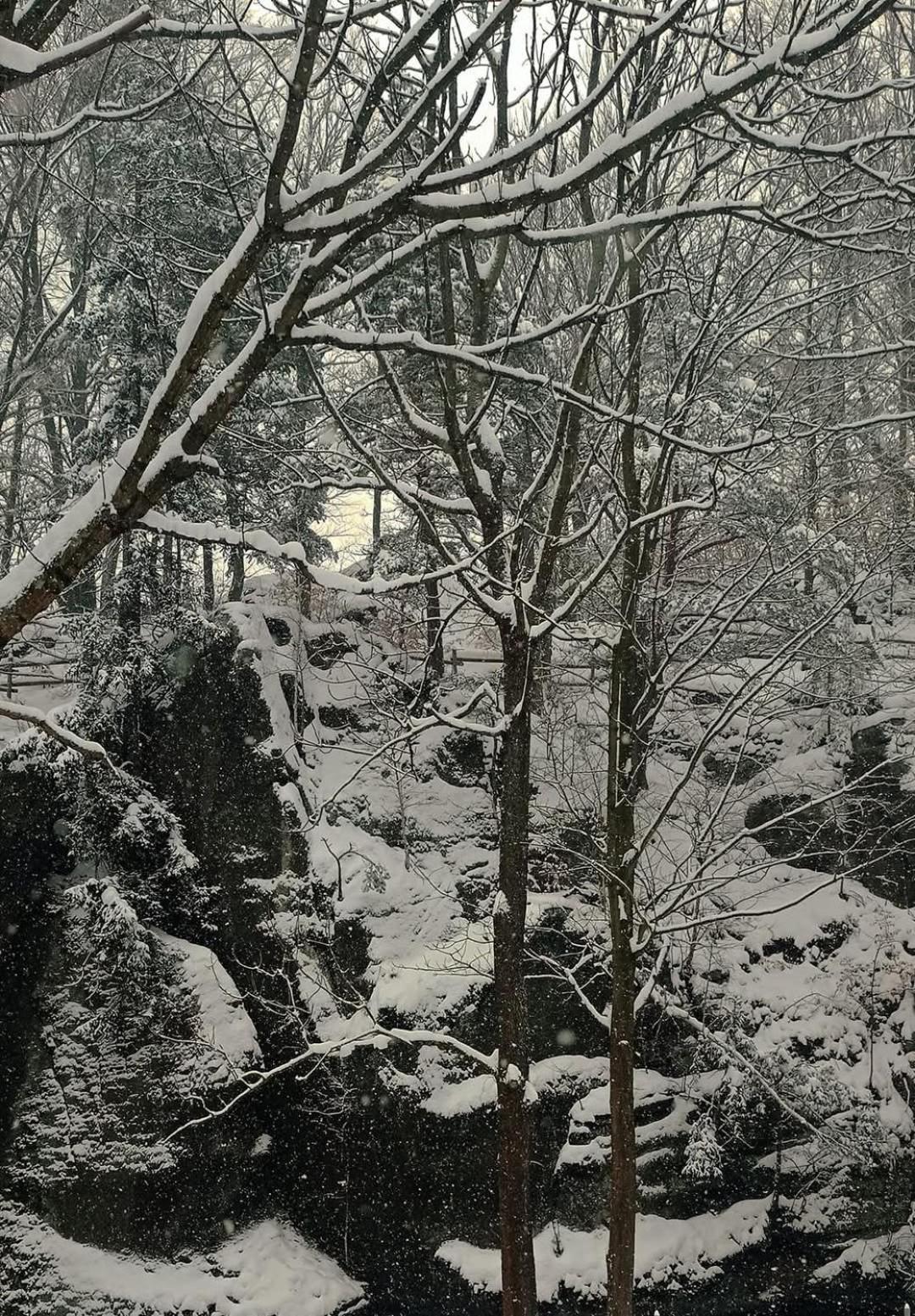 Domek Przy Rozpadlisku Podgorzyn Luaran gambar